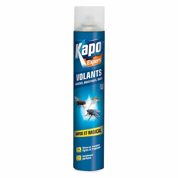 magasin en ligne france Castorama Aérosol Tous Volants Kapo 750ml 1