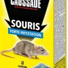 Castorama Céréales Souris Forte Infestation Caussade 100g magasin en ligne france 5