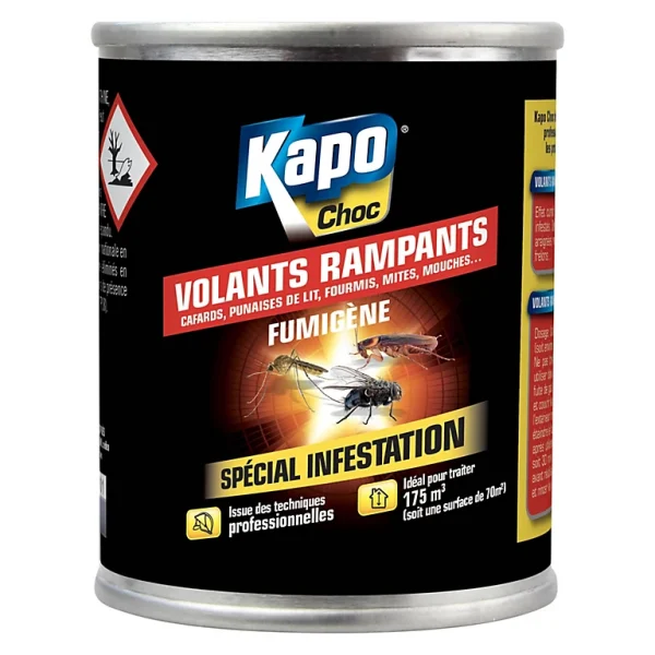 grande surprise Castorama Fumigène Tous Insectes Kapo Pour 175m3 Ou 70m2 1