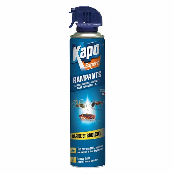 Castorama Kapo Insectes Rampants 400ml grande qualité 1