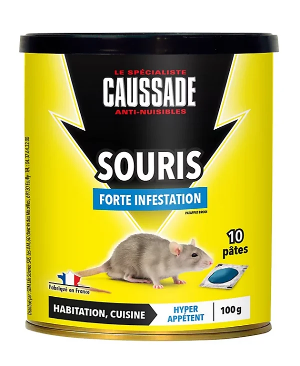 grossiste en ligne Castorama Pat’appat Souris Forte Infestation Caussade 100g 1